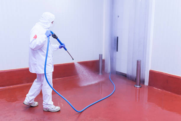 Professional Pressure Washing Services in Merryville, LA
